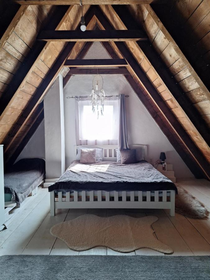 Stay Wild Žabljak Zewnętrze zdjęcie