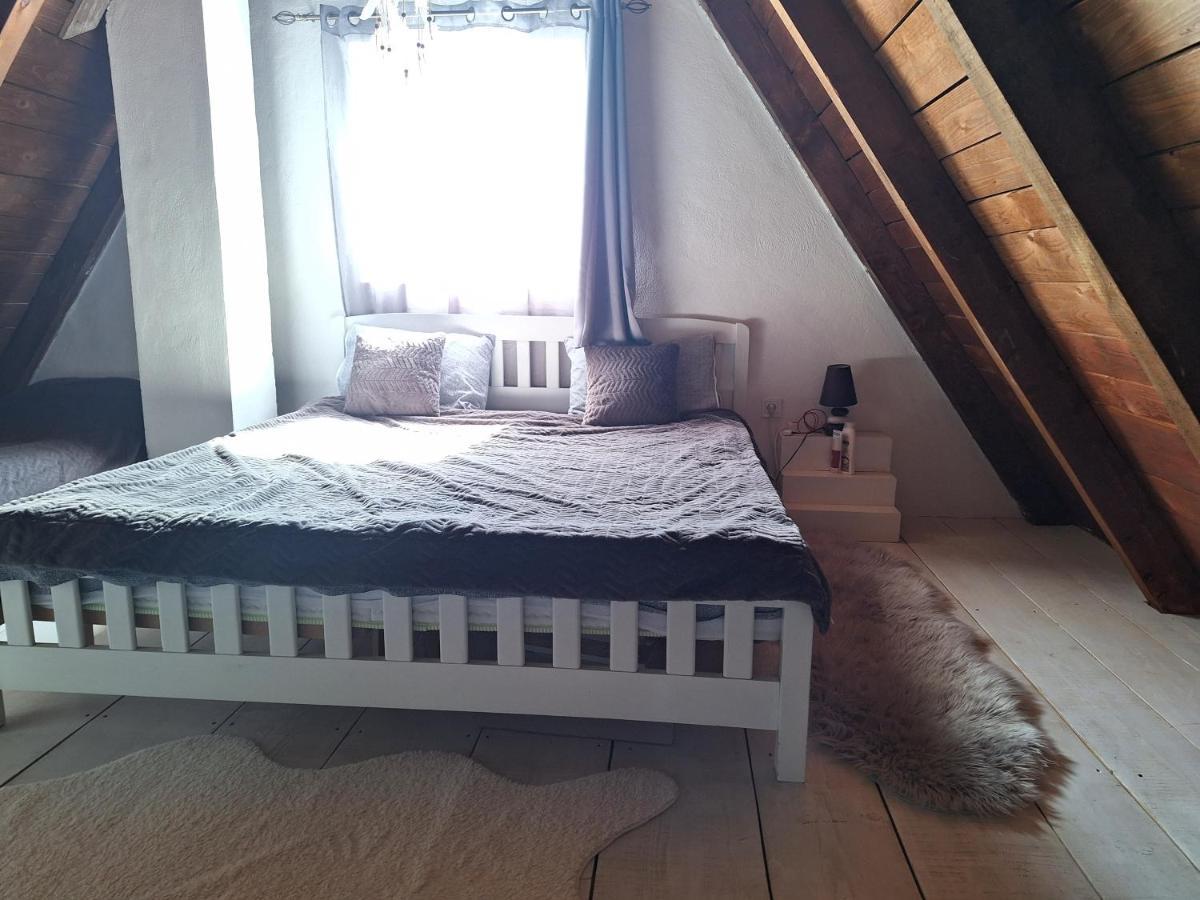Stay Wild Žabljak Zewnętrze zdjęcie