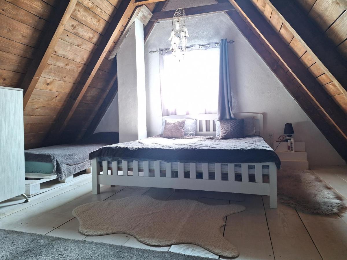 Stay Wild Žabljak Zewnętrze zdjęcie
