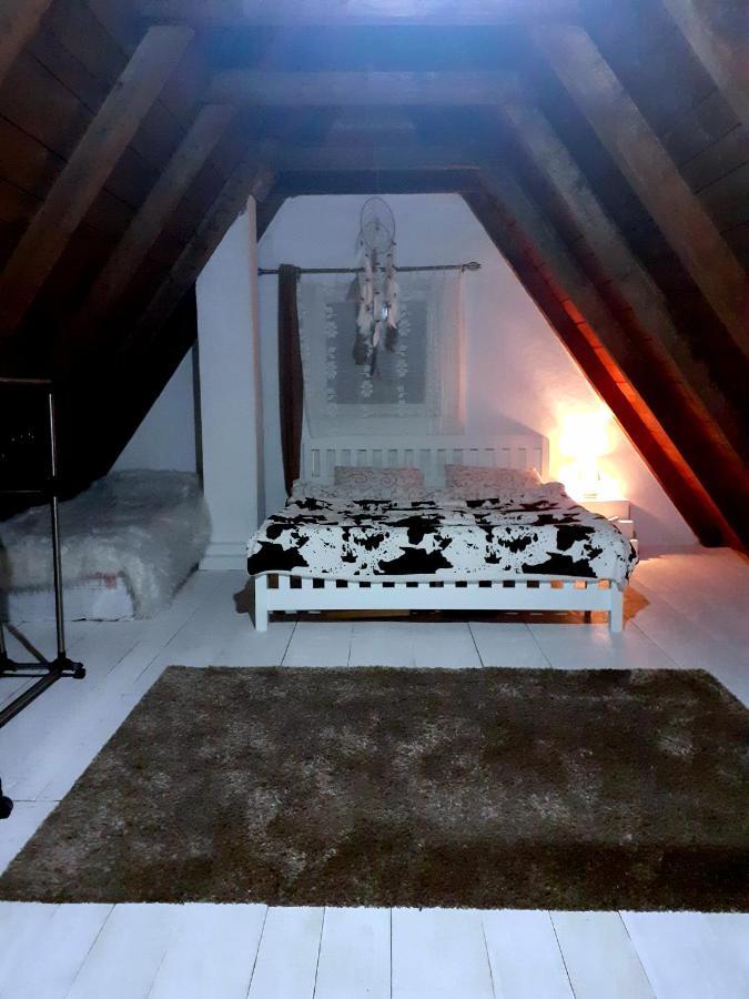 Stay Wild Žabljak Zewnętrze zdjęcie