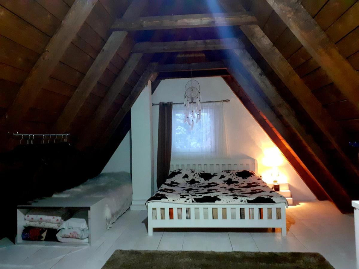 Stay Wild Žabljak Zewnętrze zdjęcie